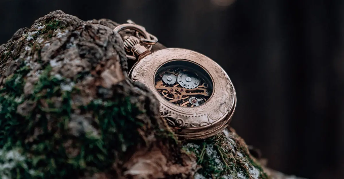Le rôle du design dans l'attrait des montres de collection