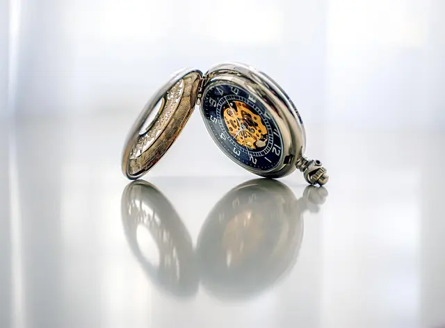 Comment reconnaître une montre rare : Guide complet pour les collectionneurs